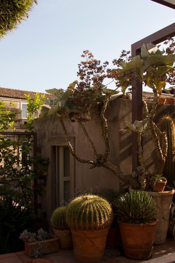 Tre Vie Apartment Con Terrazzo Giardino Pensile Catania Luaran gambar
