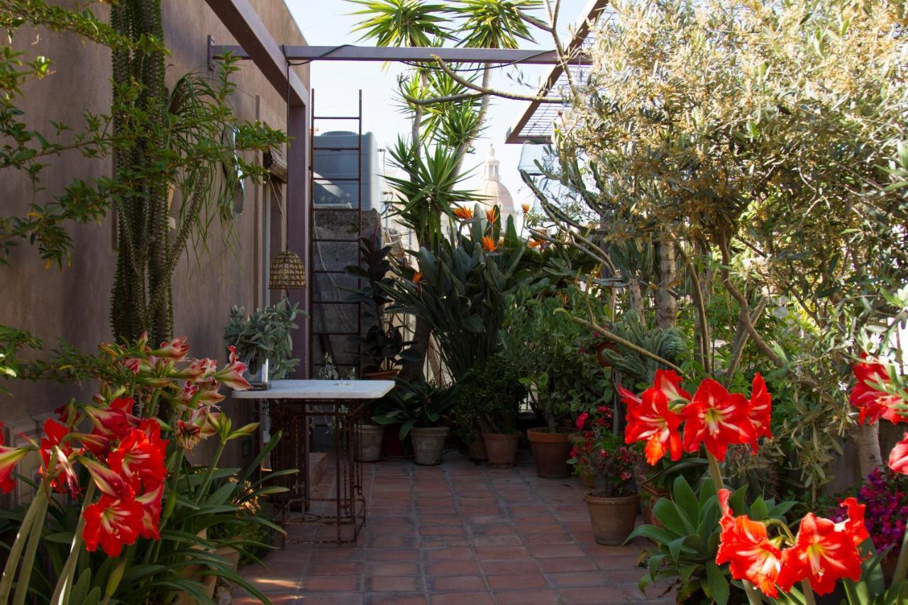 Tre Vie Apartment Con Terrazzo Giardino Pensile Catania Luaran gambar